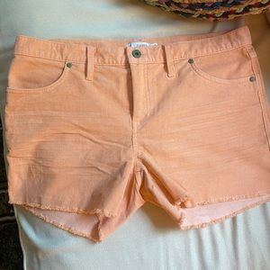 Carve Design 4” Oahu Corduroy Shorts